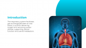 500802-Respiratory-System_02