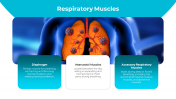 500802-Respiratory-System_06