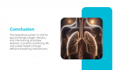 500802-Respiratory-System_15