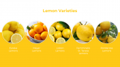 500824-National-Lemon-Juice-Day_13