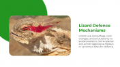 500827-World-Lizard-Day_13