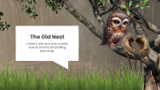 500882-the-owls-new-nest-03