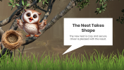 500882-the-owls-new-nest-08