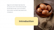 78929-Egg-PPT-Template_03