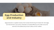 78929-Egg-PPT-Template_14