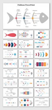 Best Fishbone PPT Presentation And Google Slides Templates