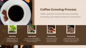 79605-Coffee-PowerPoint-Presentation_05
