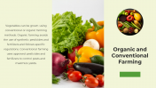 81609-Vegetable-PowerPoint-Template_07