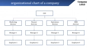 Elegant Organizational Chart PPT Free Download