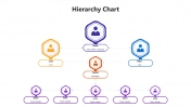 Organizational chart with three tiers of hexagonal icons in blue, orange, and purple representing various positions.