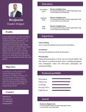 Elements of an Effective Resume - ppt download