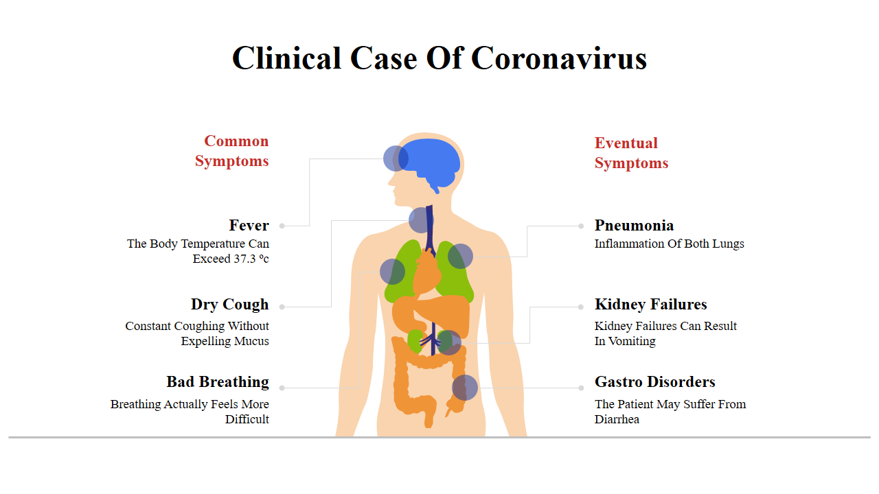 Illustration of coronavirus symptoms on a human body, divided into common and eventual, with marked organ locations.