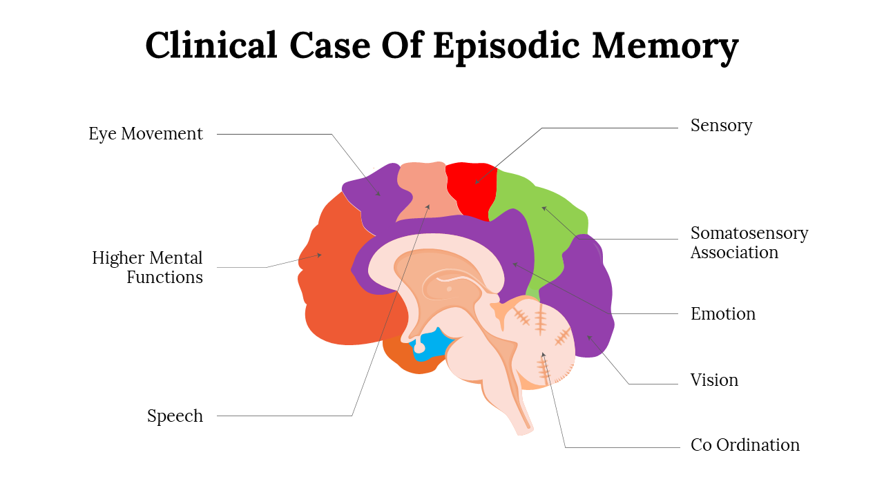 Slide illustrating the colorful brain's role in episodic memory, highlighting key functions and regions.