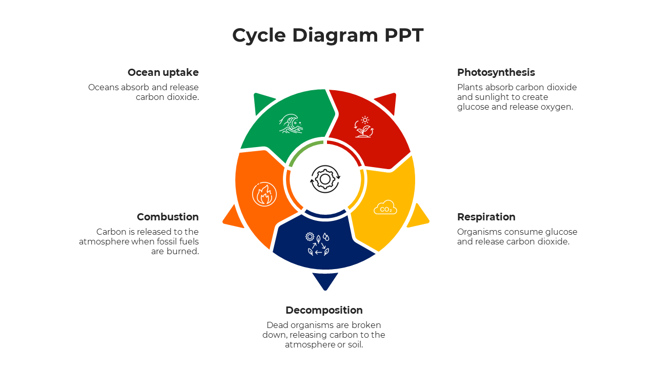 Color-coded cycle diagram displaying six key processes linked to carbon and ecological cycles, each with placeholder text.