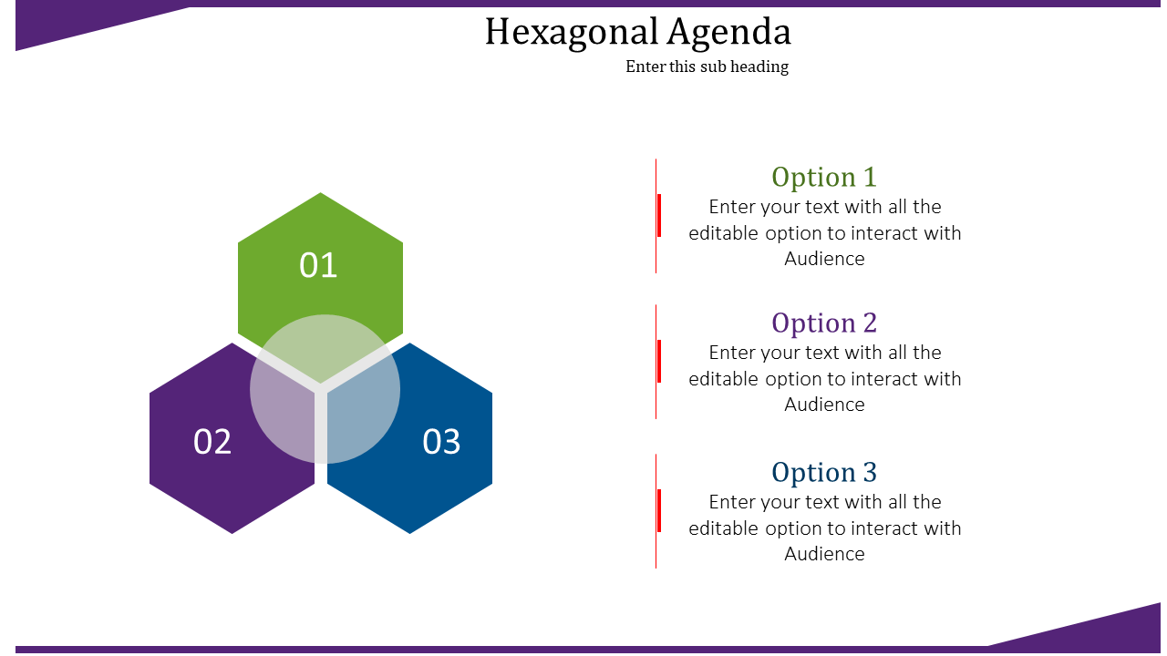 Slide with a hexagonal diagram in green, purple, and blue, labeled 01, 02, and 03, alongside three text options.