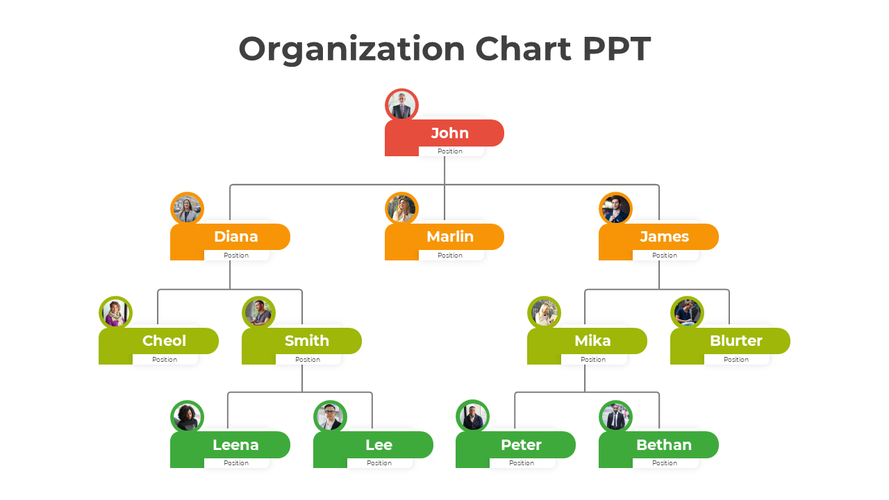 Colorful organization chart slide showing hierarchical relationships among team members with their names.