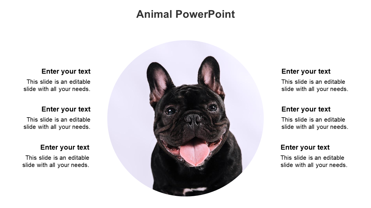 Circular image of a black French bulldog surrounded by six text boxes, three on each side.