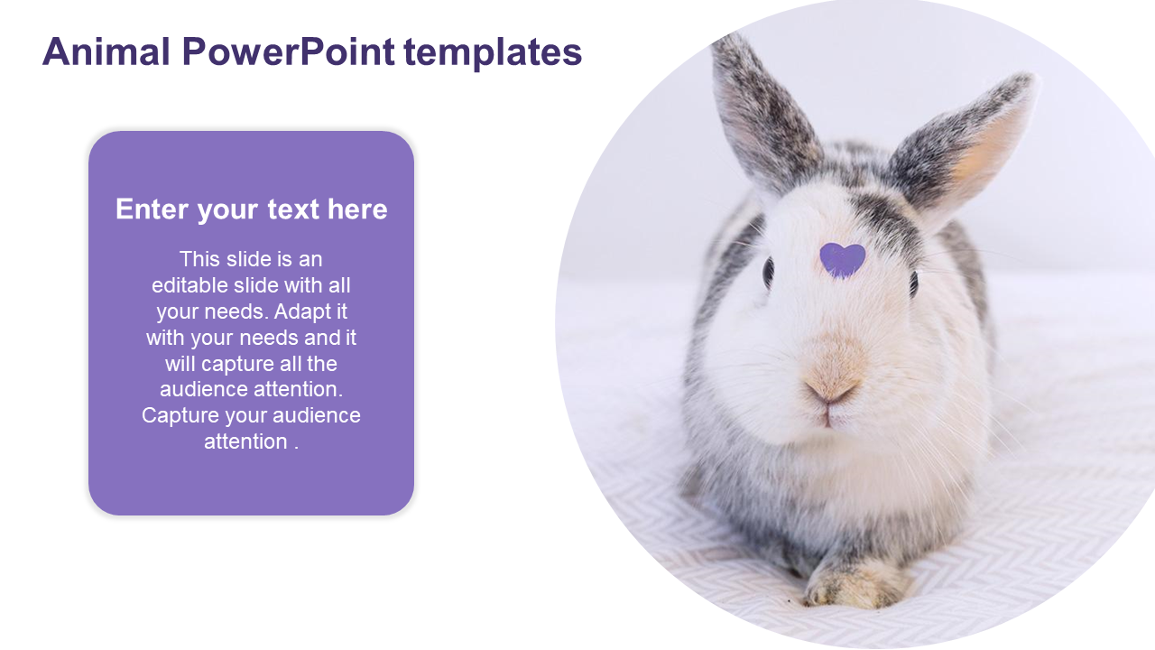 A rabbit with gray and white fur, featuring a small purple heart on its forehead, next to a text placeholder.