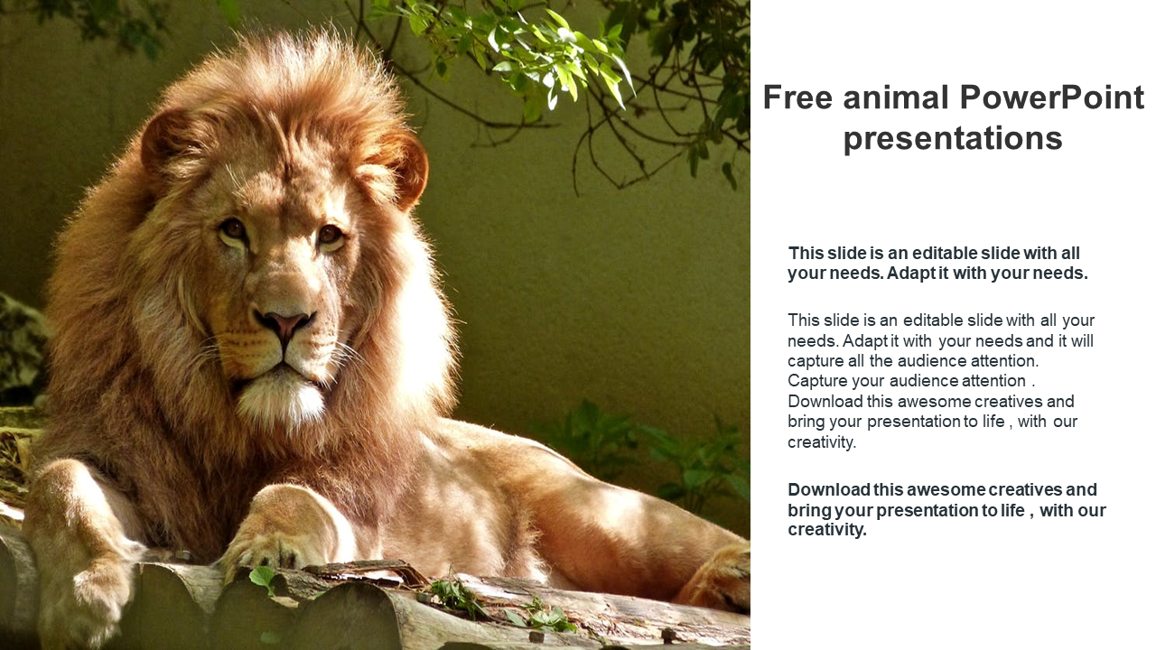 Best Free animal PowerPoint Presentations 