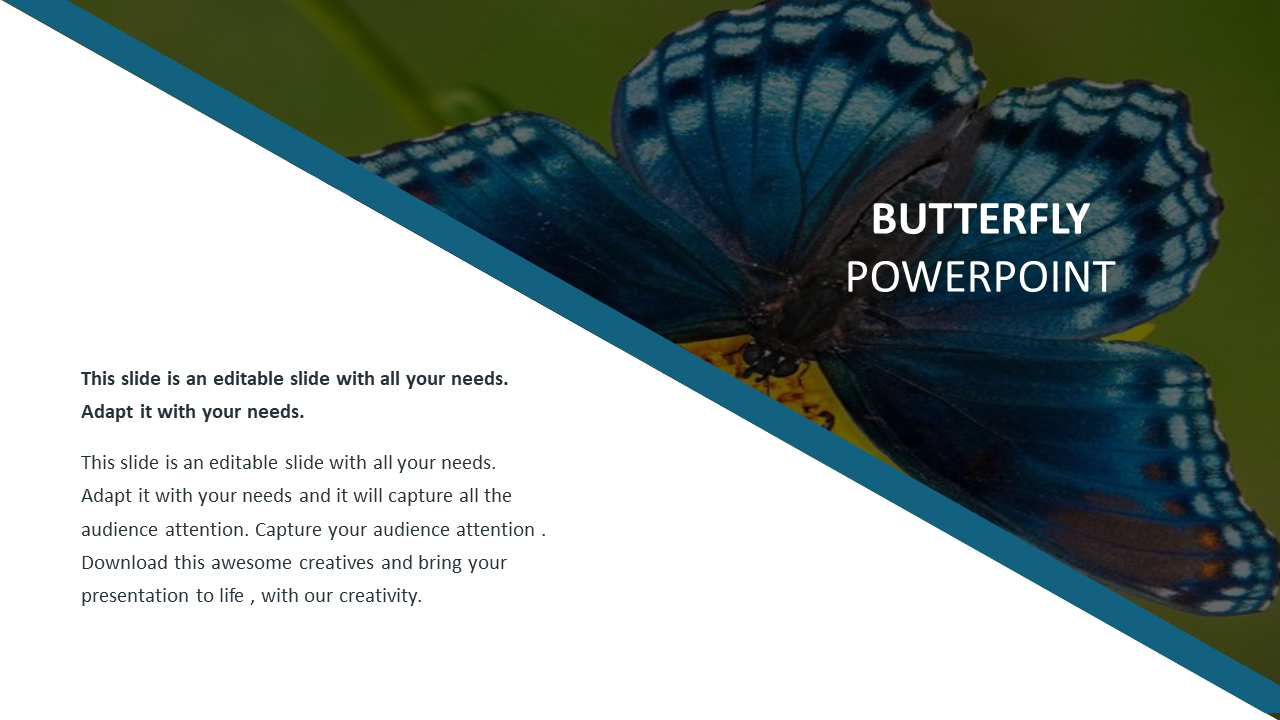 Slide featuring a vibrant butterfly image with a placeholder text section.