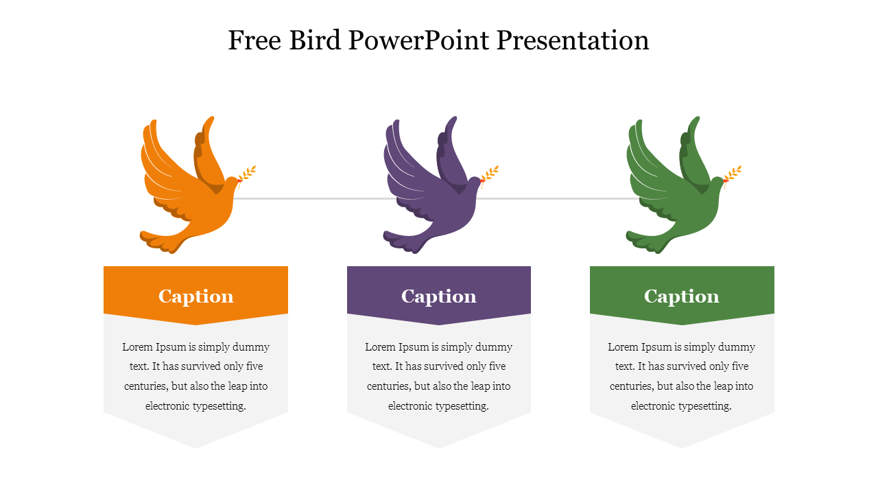 Three flying bird icons in orange, purple, and green, each with a caption area below for text.