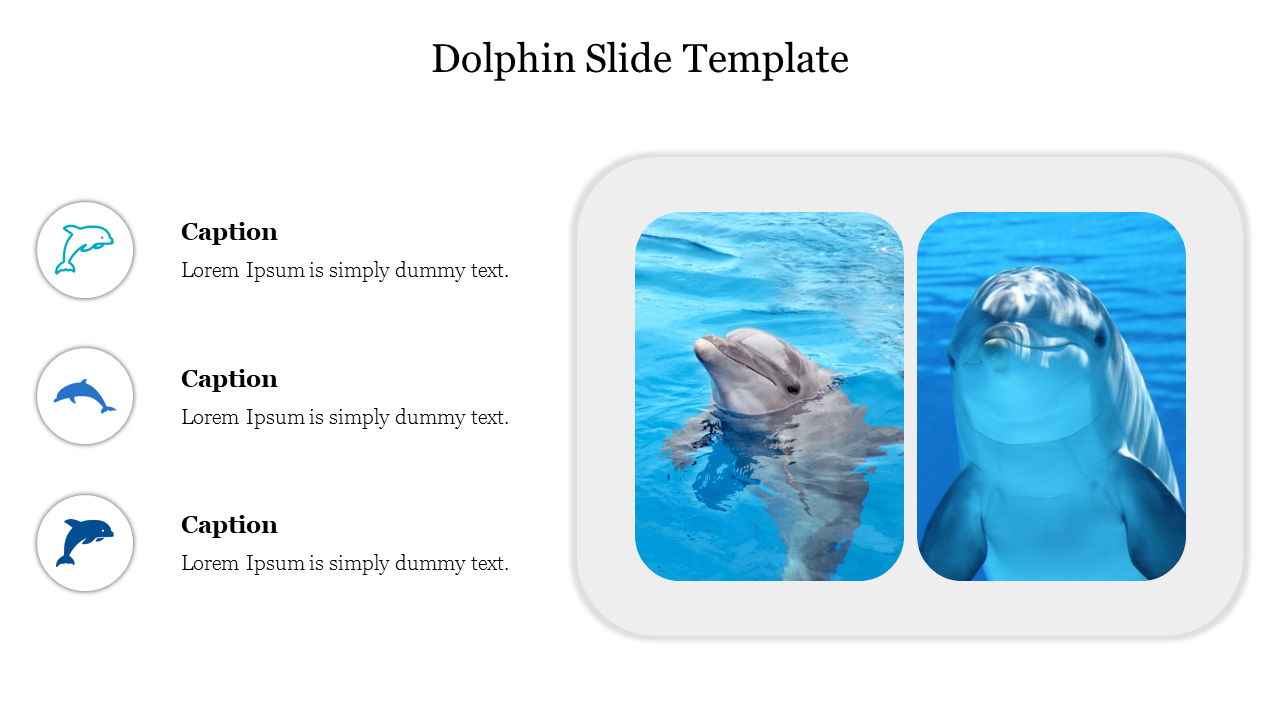 Download Attractive Dolphin Slide Template Designs