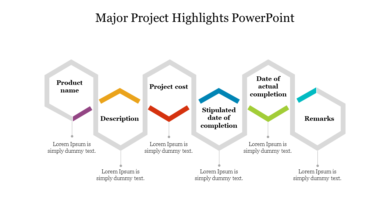 Color coded hexagon shaped infographic slide displaying key project information with text captions.