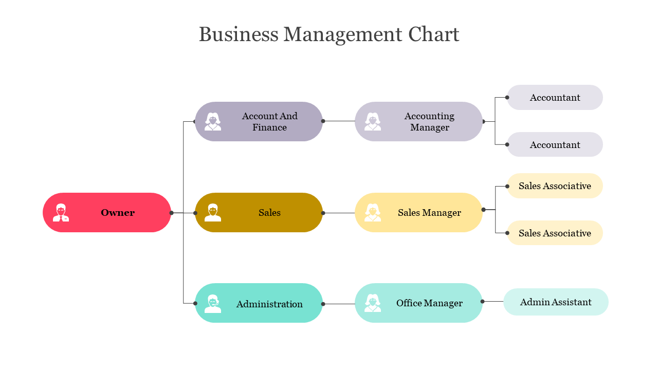 Flowchart with oval shapes in red, gold, teal, and purple, displaying connected branches for business roles.