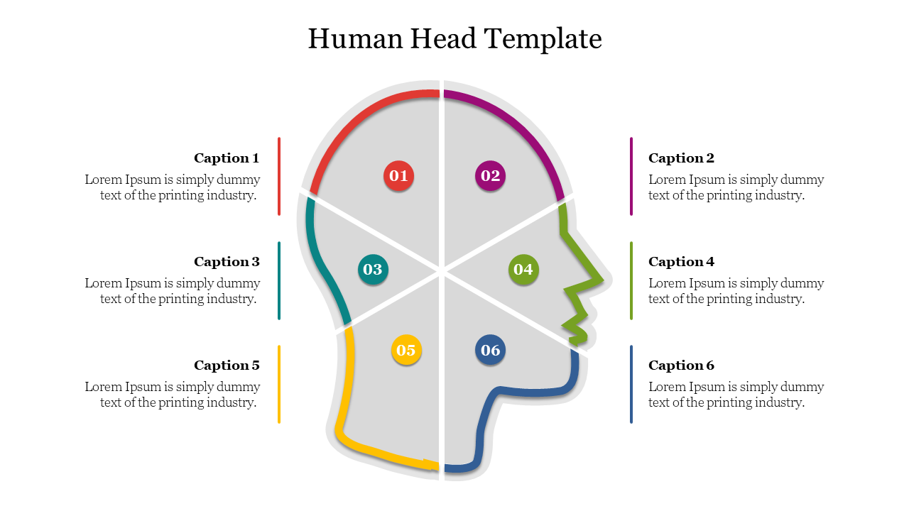 Human head diagram divided into six labeled sections, each with a caption placeholder alongside.