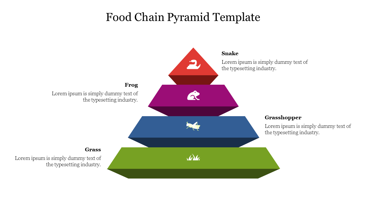 Four tiered pyramid diagram in green, blue, purple, and red with different levels of a food chain from grass to snake.