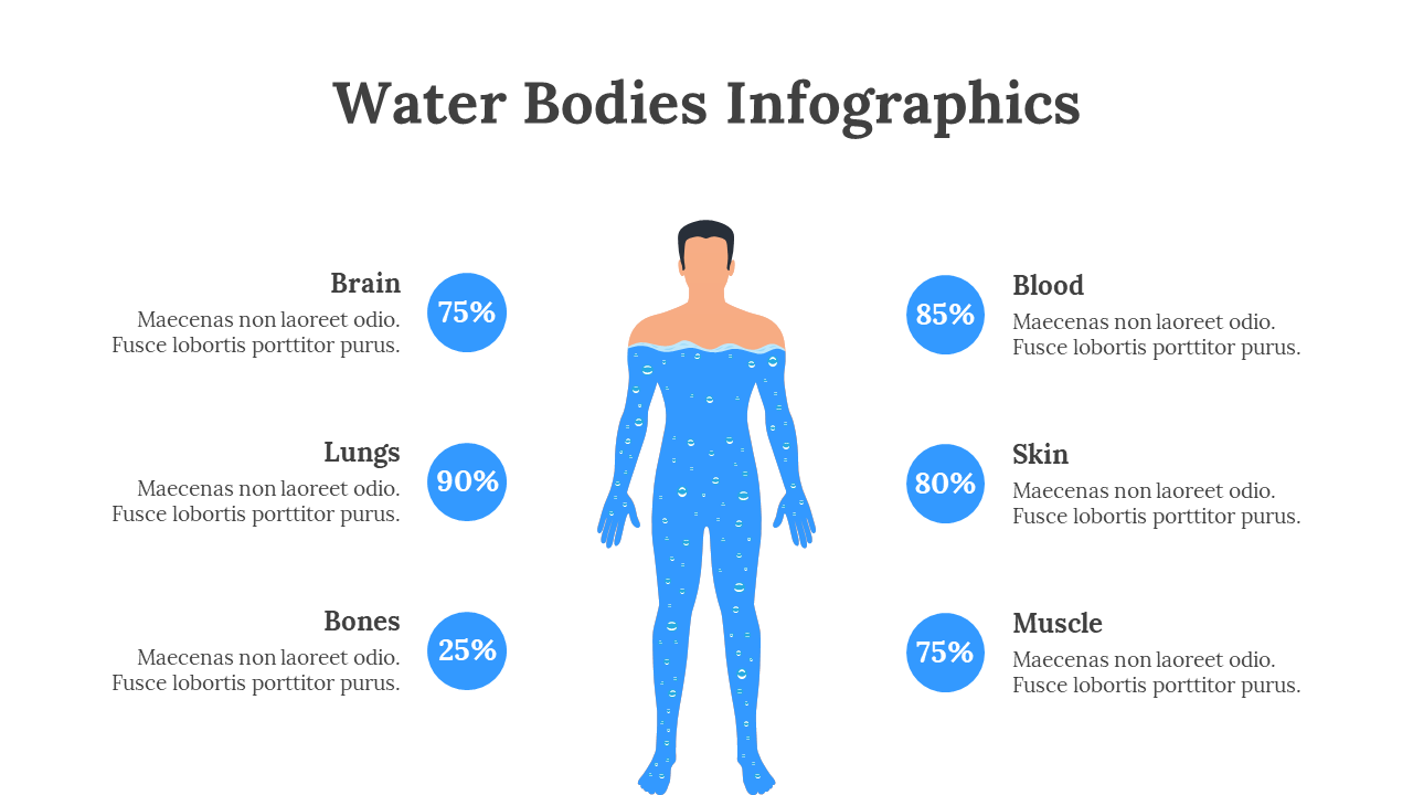 Water body infographic showing human figure with labeled water percentages for brain, lungs, bones, blood, skin, and muscle.