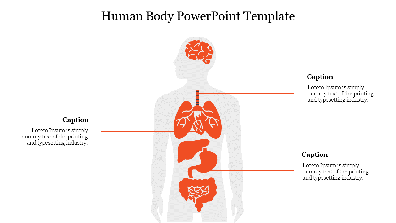 Human Anatomy Infographic Powerpoint Template and Google Slides Theme