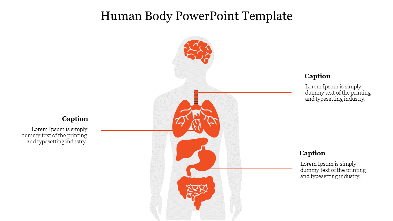 Slide with a grey human body outline showing red colored internal organs and three labeled captions.