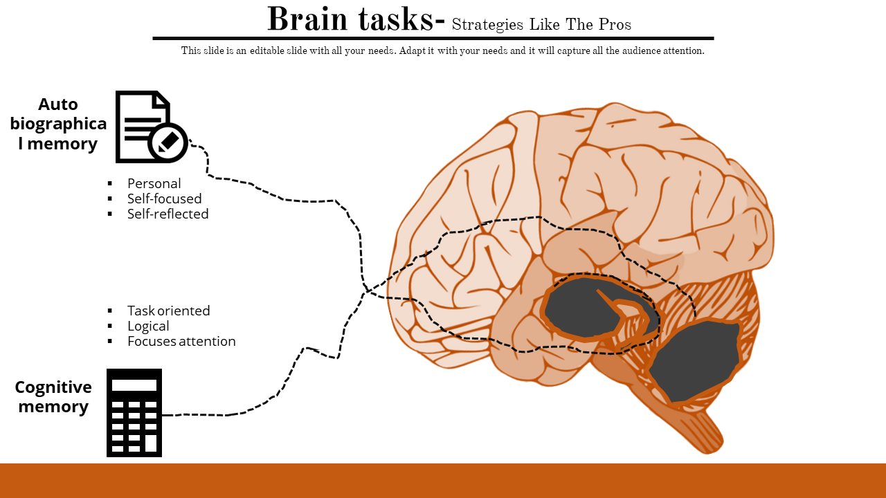 Illustration of a brain with dashed lines linking labeled areas for autobiographical and cognitive memory.