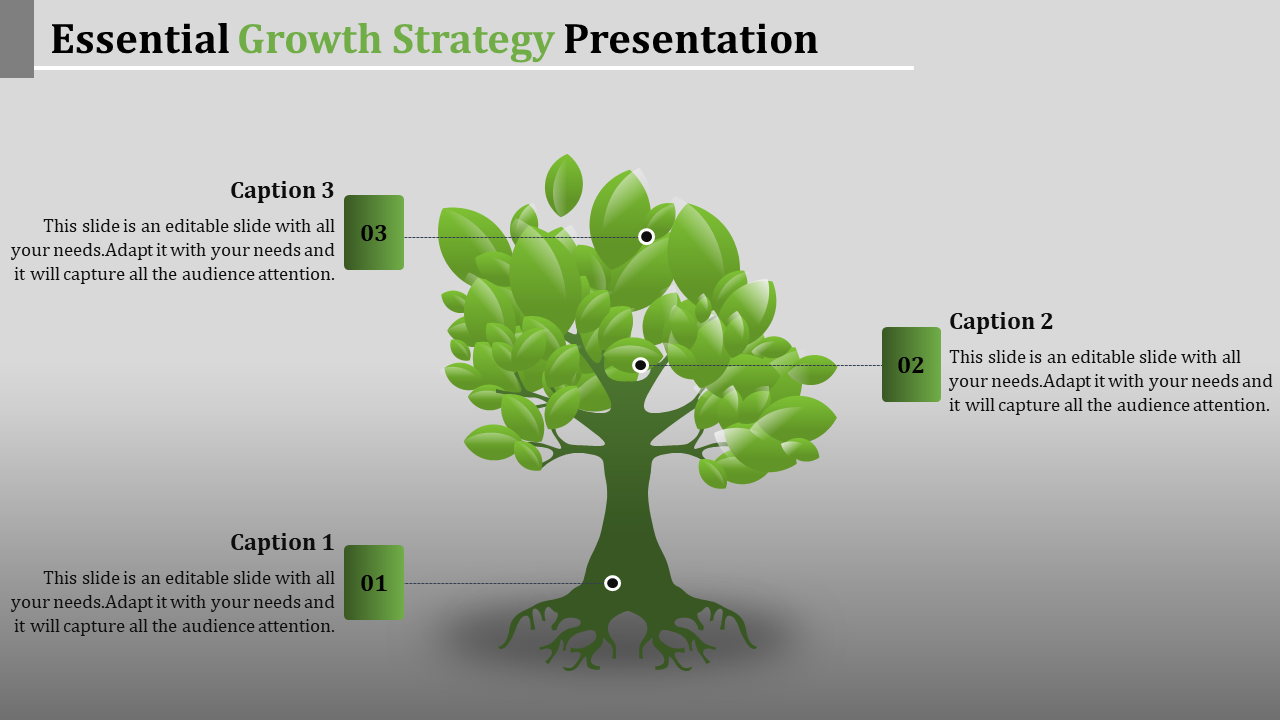 Slide featuring a green tree illustration with captions numbered 01 to 03, highlighting growth areas, on a gray background.