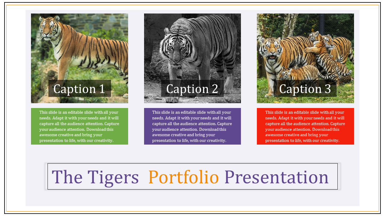 Three tiger images with captions below in green, purple, and red boxes, and a bold title at the bottom.