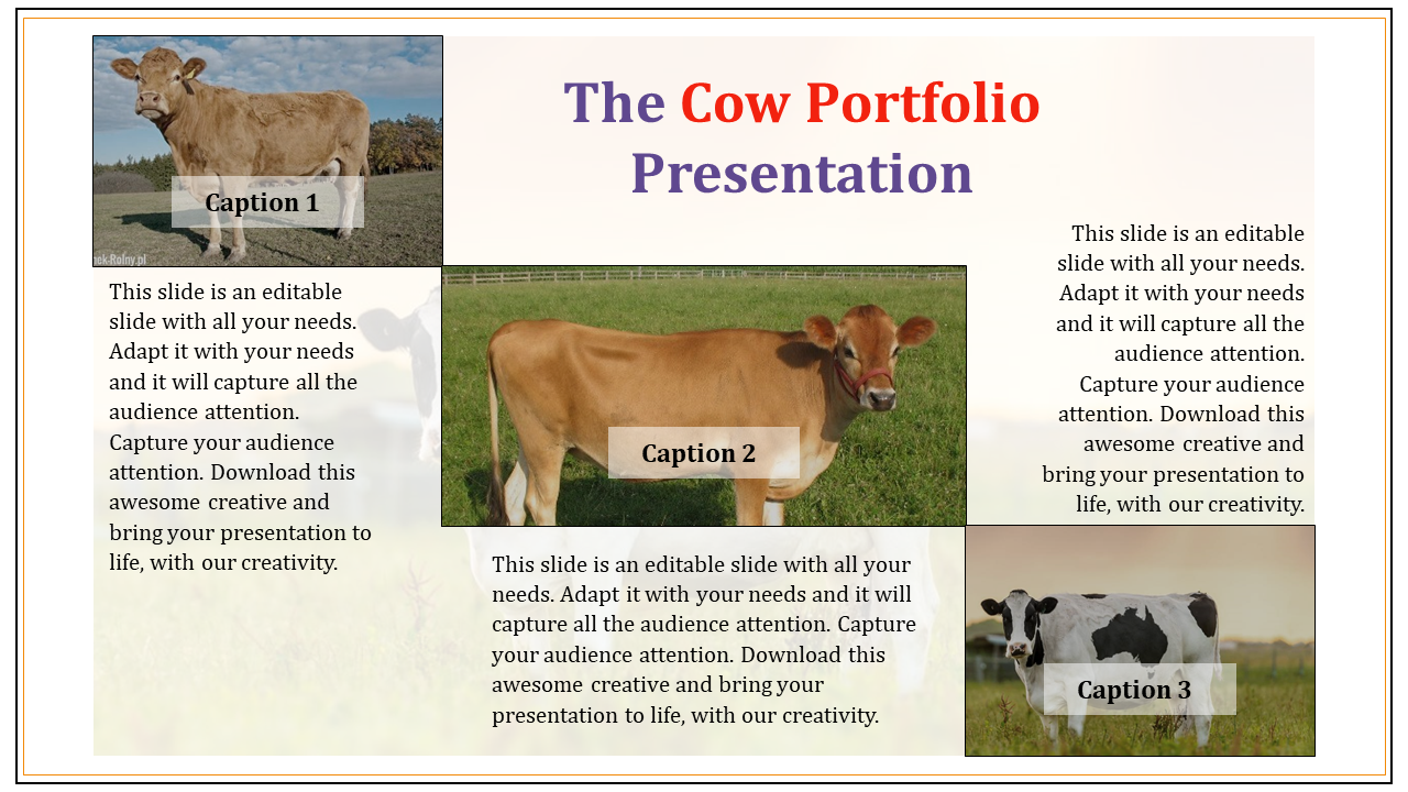 Cow themed portfolio presentation slide featuring three images of cows with captions and a descriptive text section.