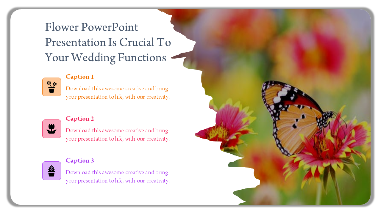 Butterfly perched on a red flower, with a torn edge revealing three captions on a white background.