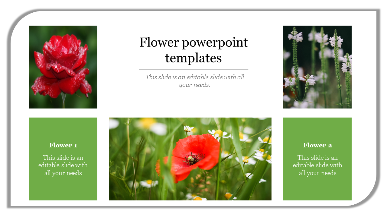 Flower themed slide with photos of a rose, a red poppy, and blooming plants, bordered by green text sections.