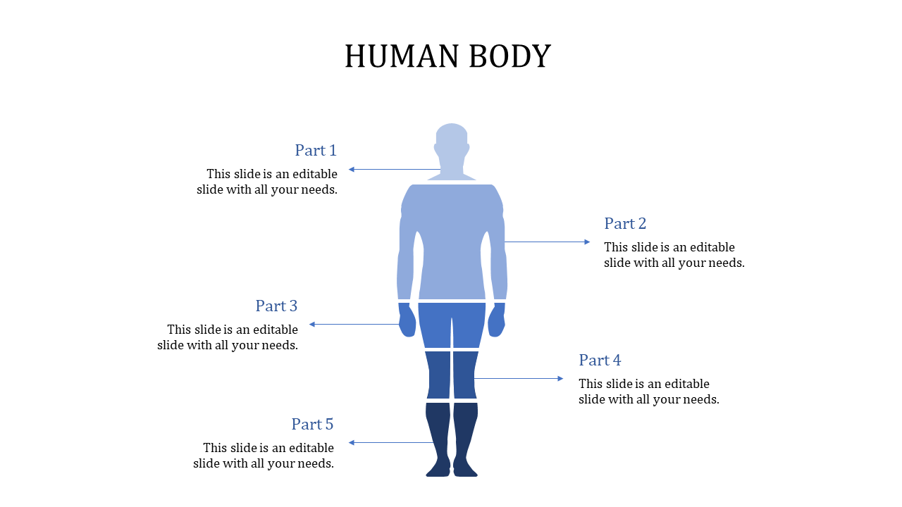 Human body slide featuring a diagram of a human figure with labeled parts and placeholder text.