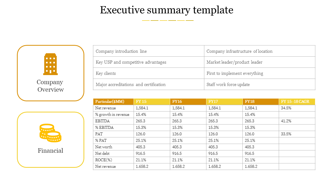 Executive summary template from company overview, to financial table of revenue and net worth placed in a white background.