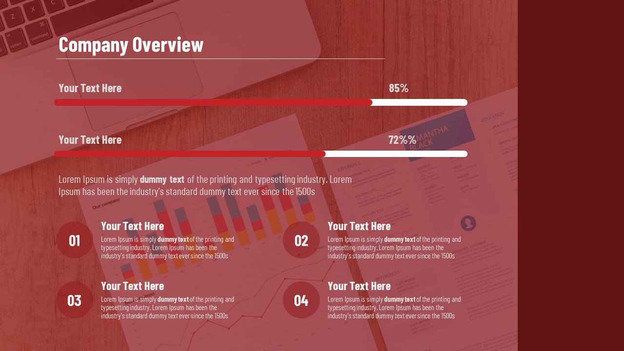 PowerPoint slide featuring a company overview with progress bars showing percentages for different sections.