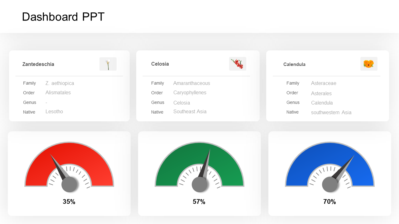 Sashboard design featuring three plant species data and corresponding progress meters in red, green, and blue.