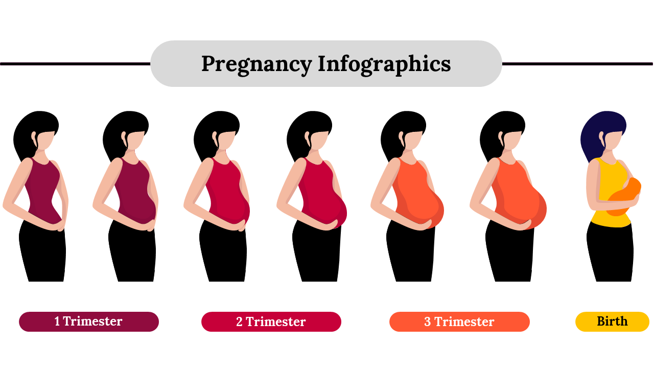 Pregnancy infographics show a woman’s silhouette transitioning through the first, second, and third trimesters to birth.