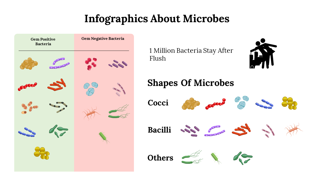 Microbial infographic featuring categories of gram-positive and gram-negative bacteria with various microbe shapes.