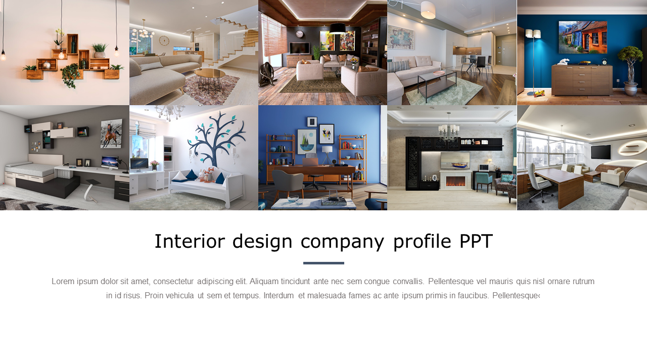 Interior design profile with images of contemporary furniture and decor in various room settings with text area.