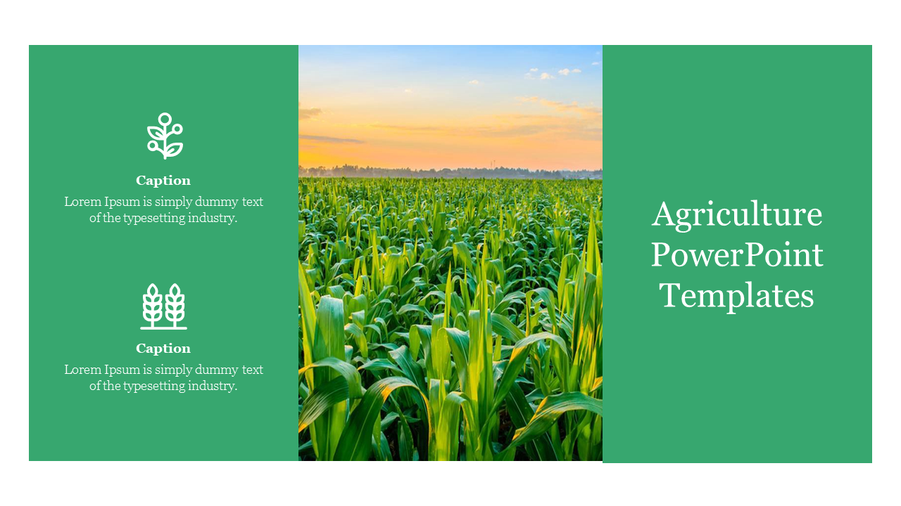 reen cornfield at sunset in the center, with agriculture icons and placeholder captions on the left and title text on the right.