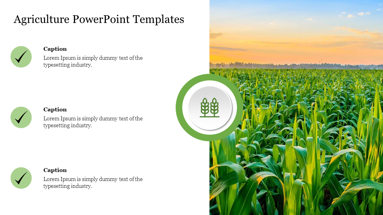 Slide design with a lush green crop field and space for text captions with checkmark icons.