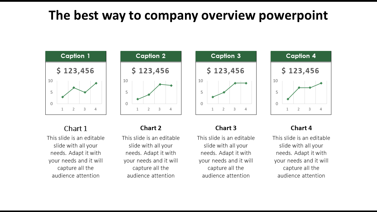 Fair Catchy Company Overview PowerPoint Presentation