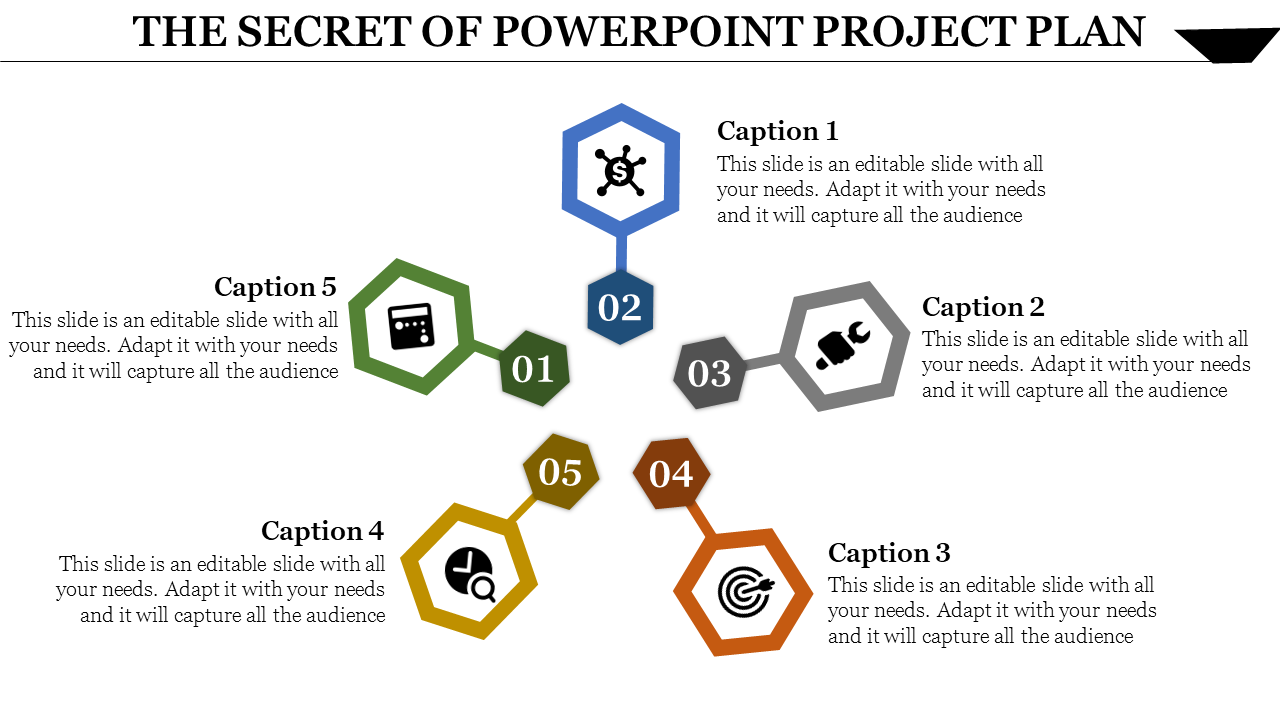 Ring Model PowerPoint Project Plan Template